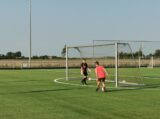 Training Schouwen-Duiveland Selectie Onder 13 & 14 op sportpark 'Het Springer' van maandag 5 juni 2023 (27/53)
